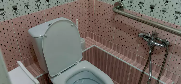 Meeting Diverse Needs With Accessible Restroom Solutions in Brooklyn Center, MN